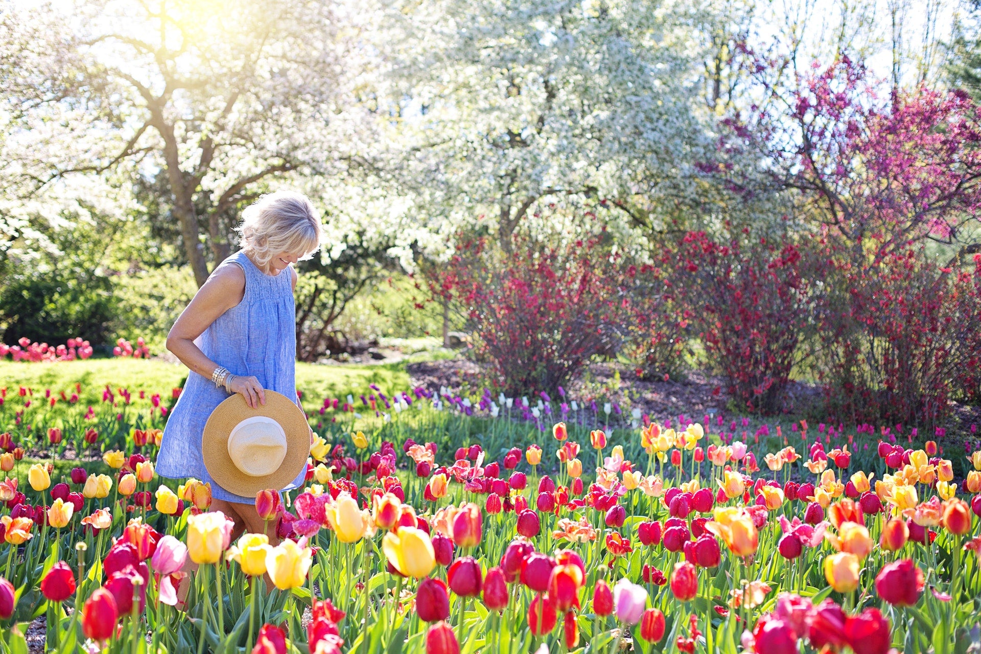 Garden style: colourful