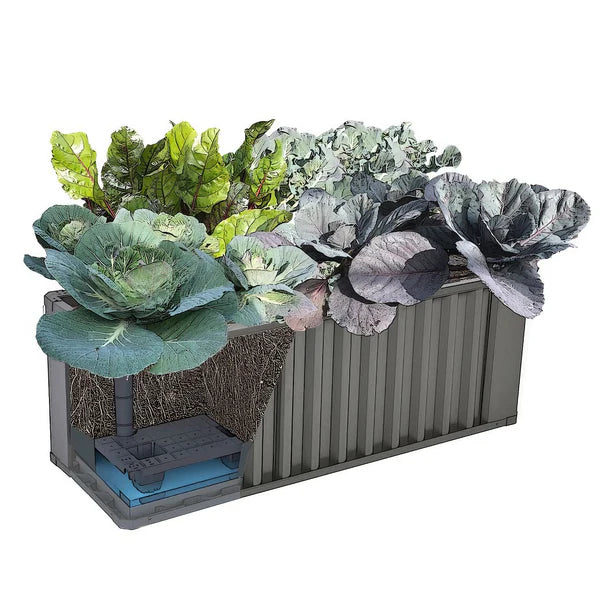 WaterUps Oasis Wicking Bed