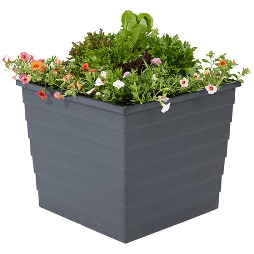 WaterUps Square Planter